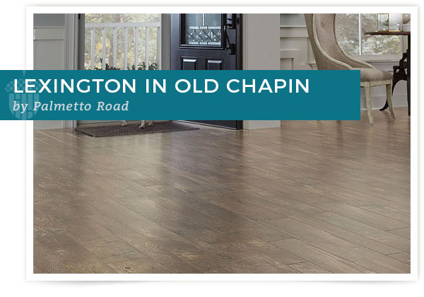 Lexington in Old Chapin by Palmetto Road