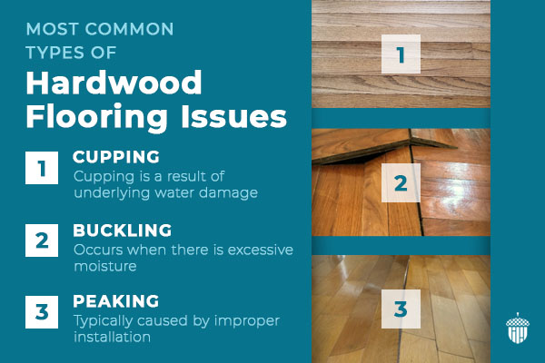 hardwood floor cupping up