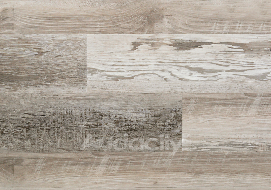 Audacity, Audacity One, Ashford