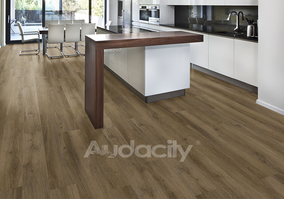 Audacity, Audacity One, Darby