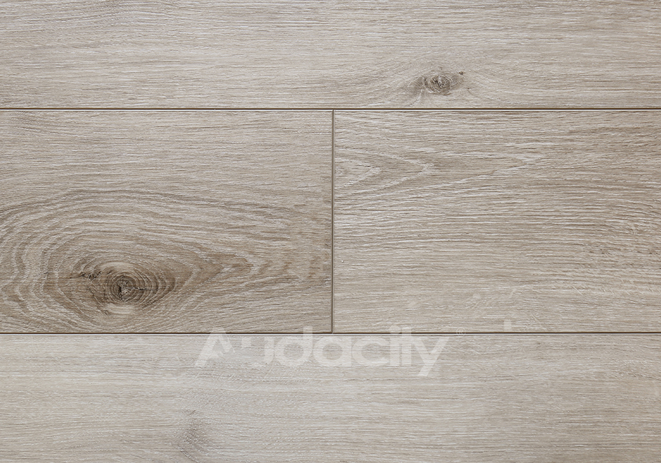 Audacity, Audacity One, Ellington