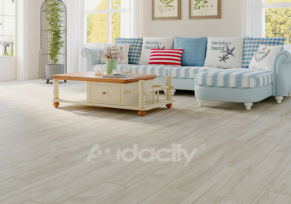 Audacity, Audacity One, Hollis