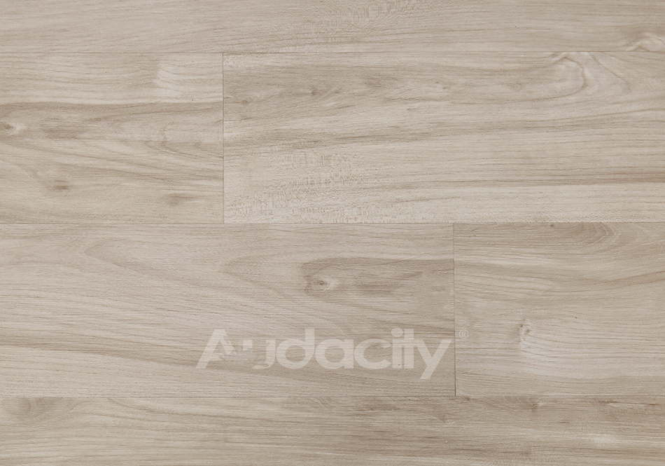 Audacity, Audacity One, Hollis