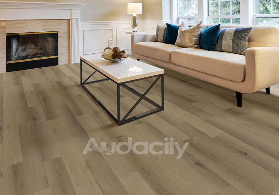 Audacity, Audacity One, Mauldin