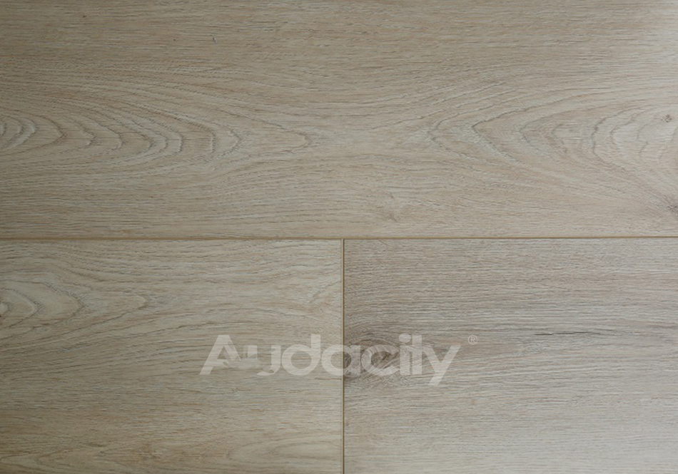 Audacity, Audacity One, Mauldin