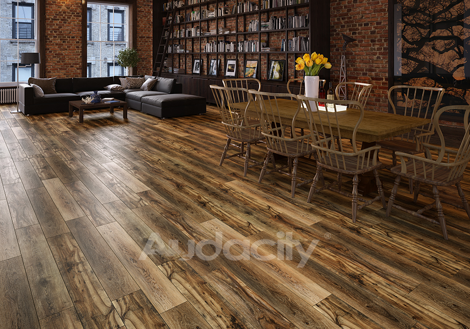 Audacity, Audacity One, Pembroke