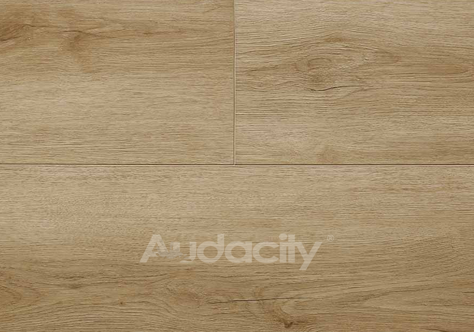 Audacity, Liberty, Caldwell