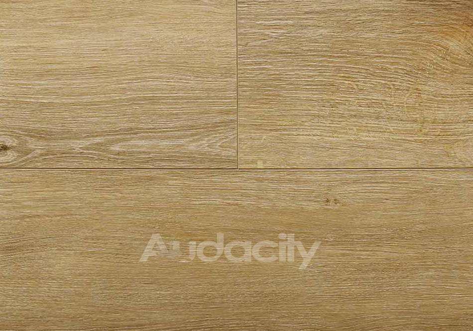 Audacity, Liberty, Meridian