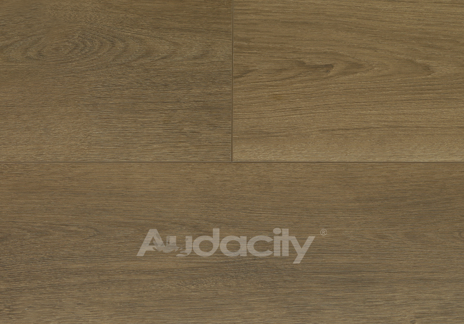 Audacity, Liberty, Moab