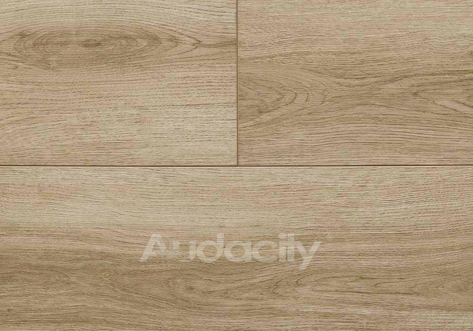 Audacity, Liberty, Sandpoint