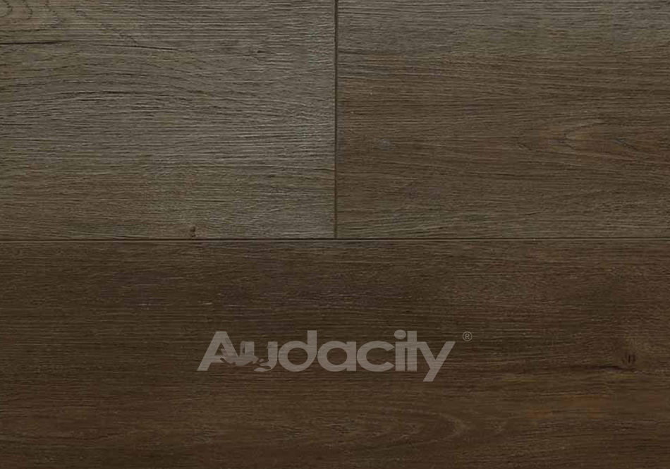 Audacity Liberty, Shasta