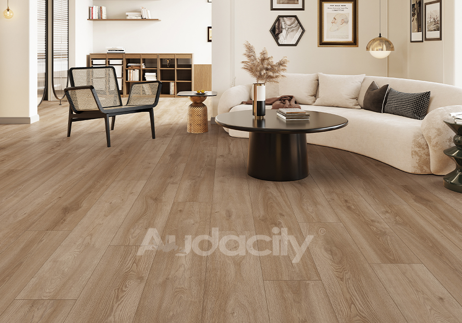 Audacity, Vivid 3D, Crystal