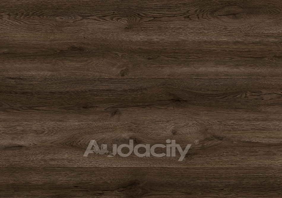 Audacity, Vivid 3D, Ridge