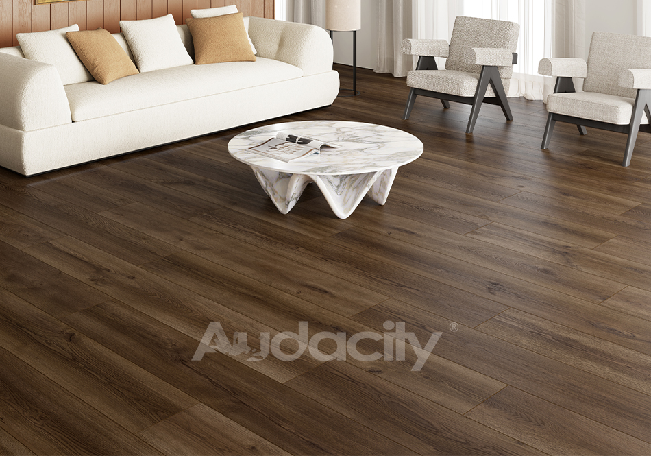 Audacity, Vivid 3D, Ridge