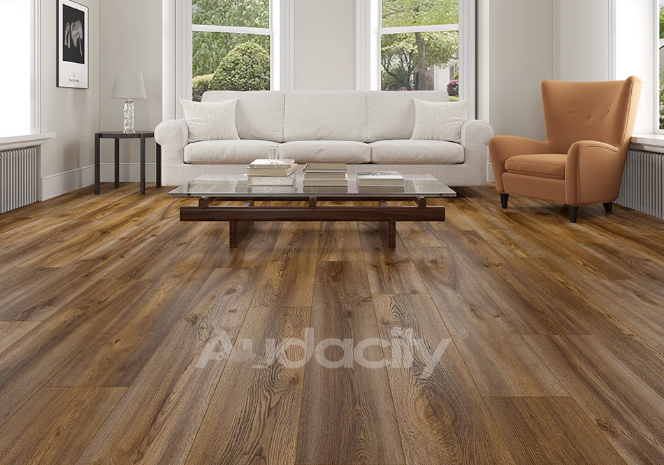 Audacity, Vivid 3D, Timberline