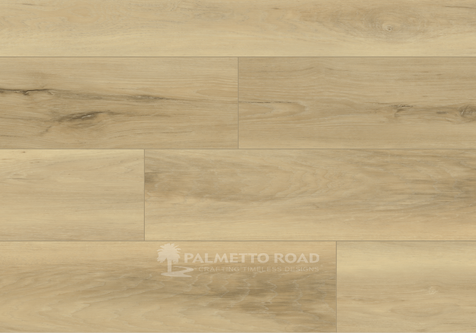 Palmetto Road, Emerald Isle, Surf