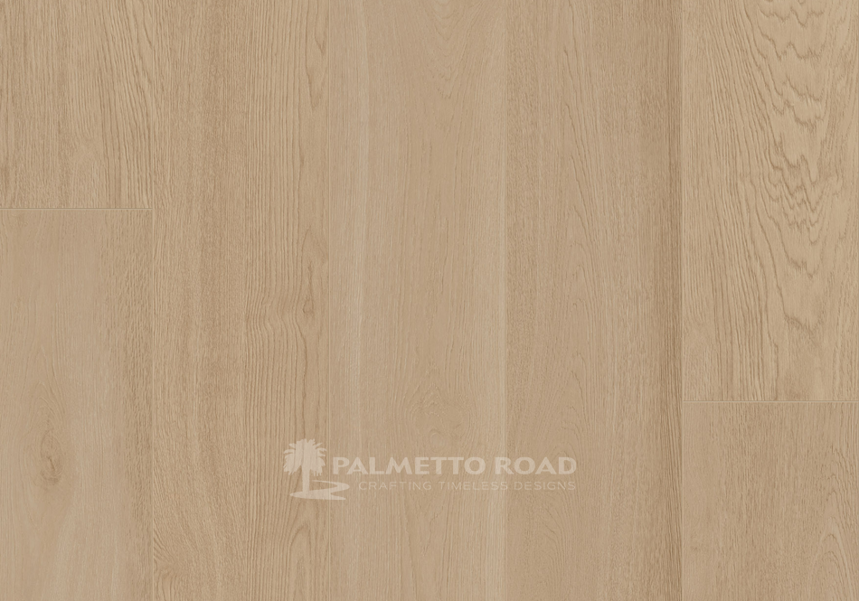 Palmetto Road, Outer Banks, Ocean Trail