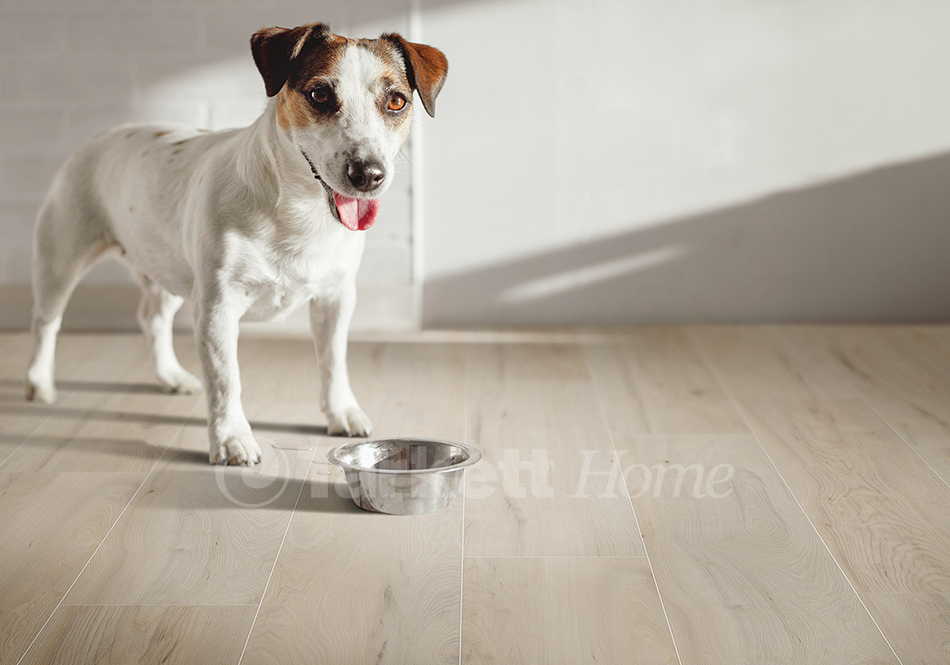 ShoreFlor, Tarkett Home, Coastal Elm Dune