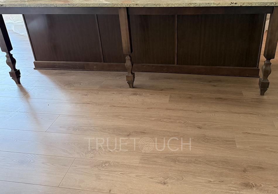 TrueTouch, Evolv, Organic