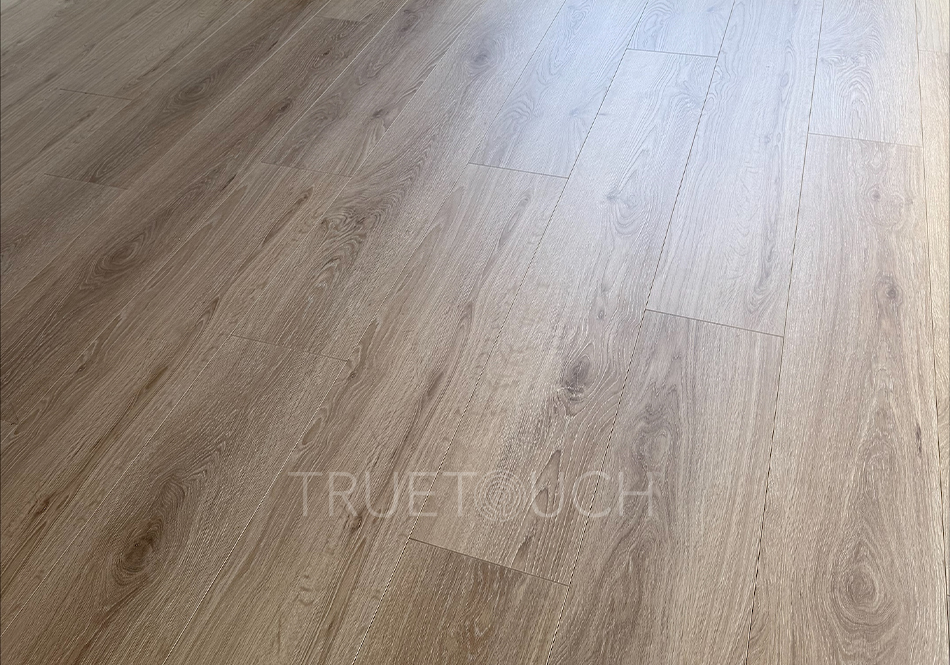 TrueTouch, Evolv, Organic