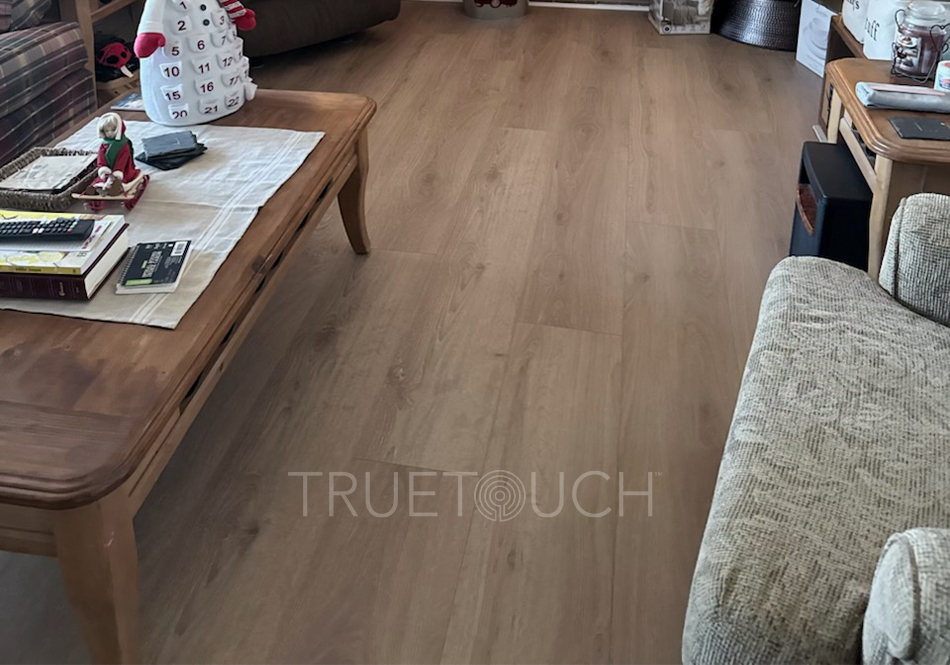 TrueTouch, Evolv, Organic