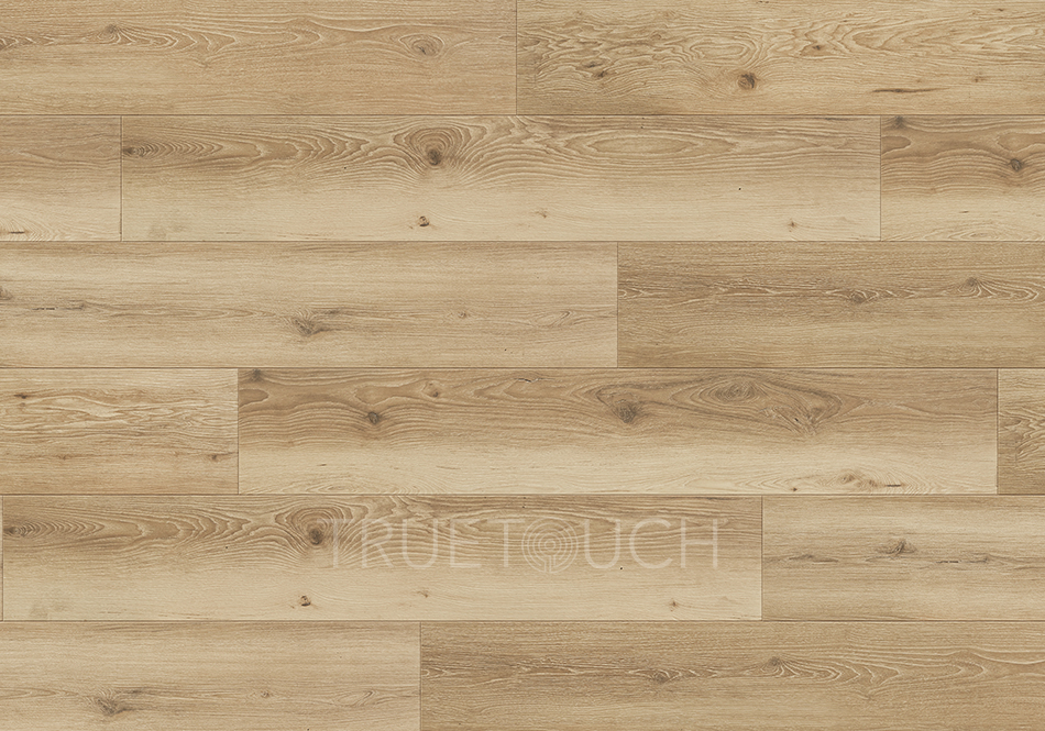 TrueTouch, Evolv, Nature