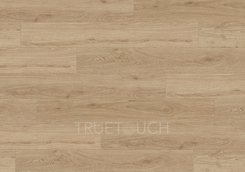 TrueTouch, Evolv, Organic