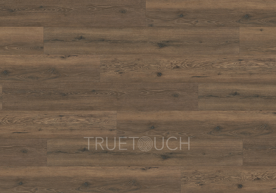 TrueTouch, Evolv, Woodlands