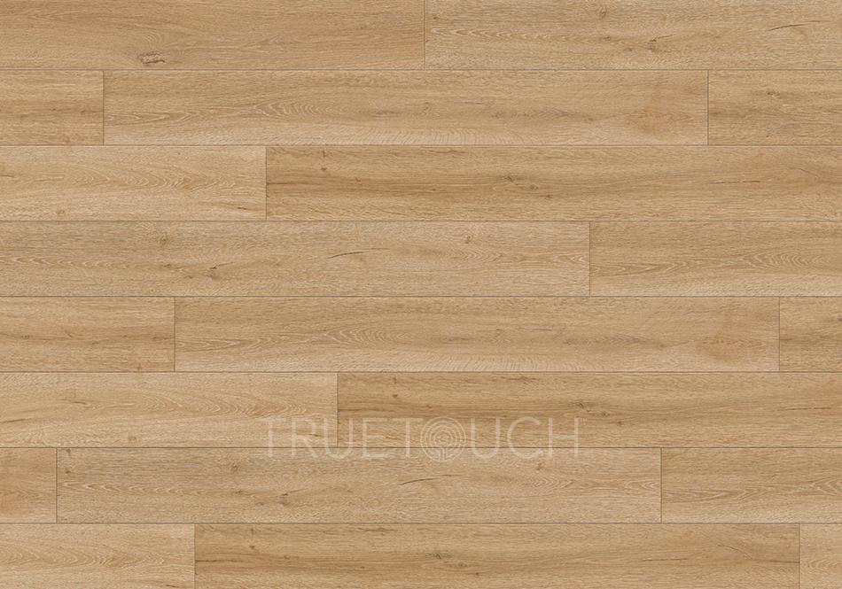 TrueTouch, Momentum, Rugged Tan