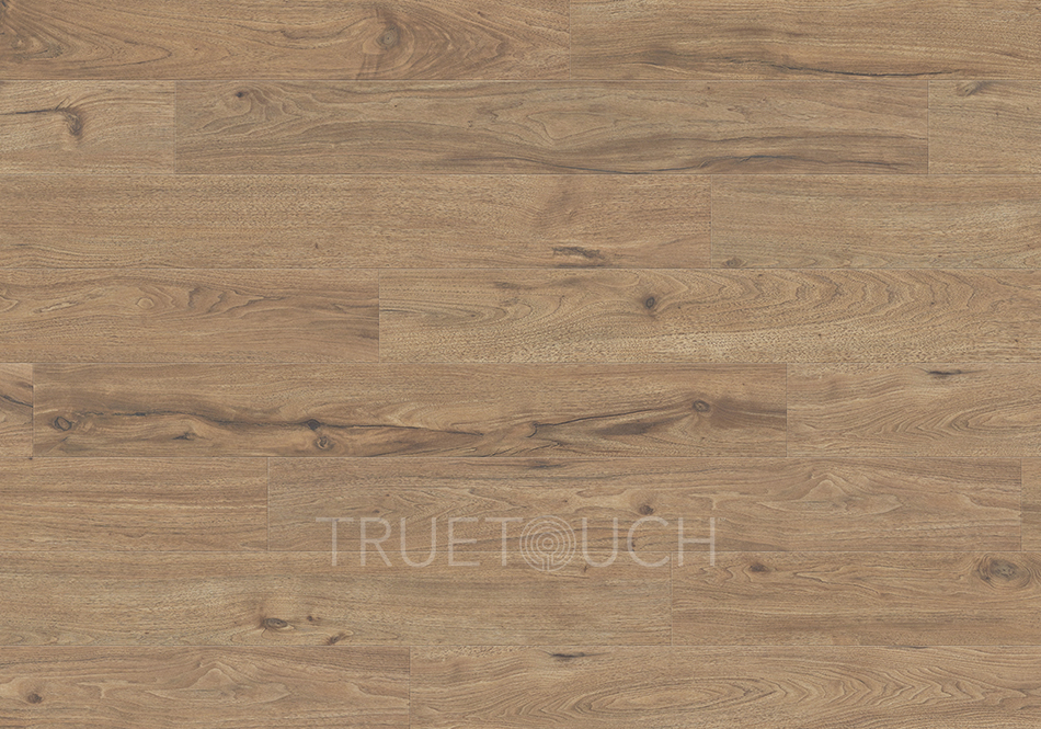 TrueTouch, Momentum, Truffle