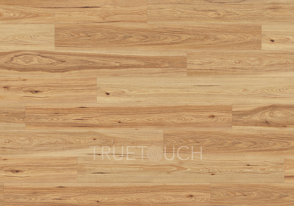TrueTouch, Predator, Whale