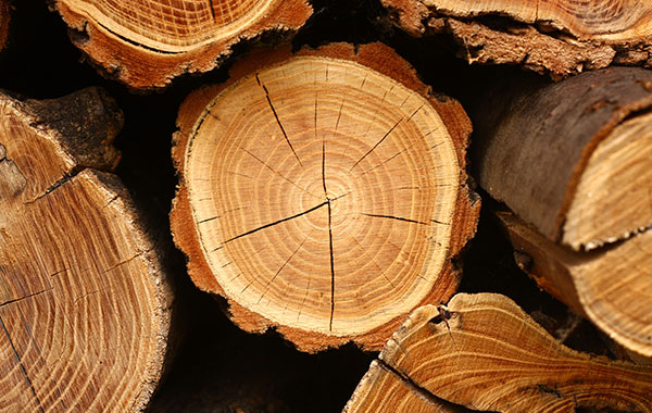 stack of freshly cut lumber